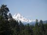 mthood1.jpg