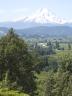 mthood2.jpg