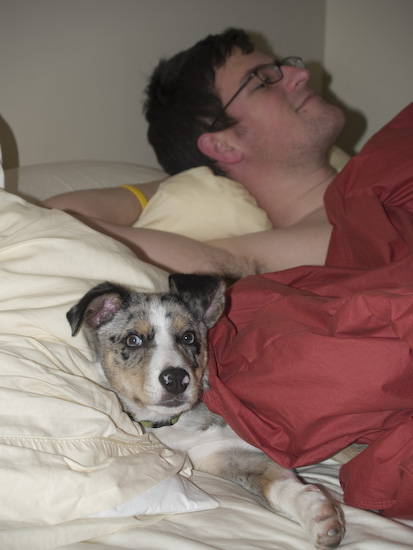 Lark_in_bed4.jpg